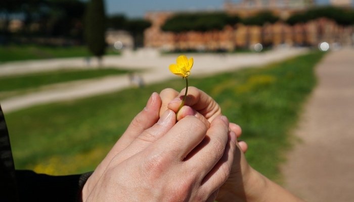 парень и девушка держат цветок